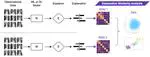 Working Paper - Comparing explainability through similarity